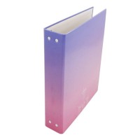 Latest High Quality Factory Custom Ring Binder File Budget Holder A4