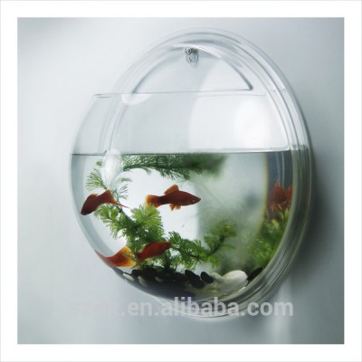 fashion design clear acrylic mini rounded wall fish tank manufactory