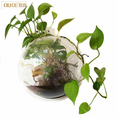 China supplier fish tank acrylic wall mount fish bowl